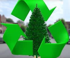 Removal & Recycle