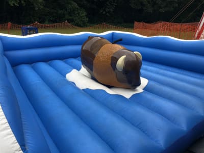 Kids Billy the Bull hire