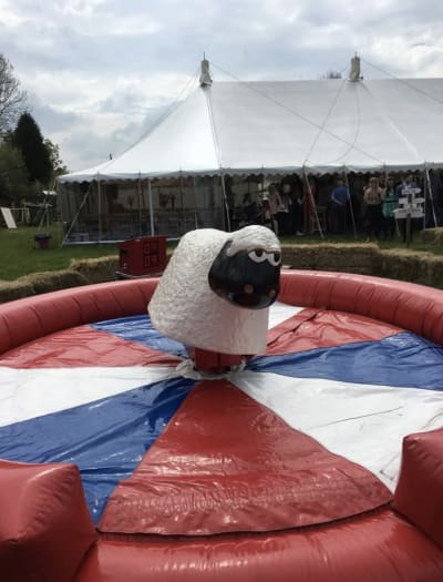 mechanical rides / games