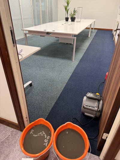 Commercial Cleaning