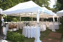 Canopy Tents