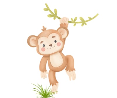 Monkey Party Package, a party package for hire from Bouncy Castle Boys