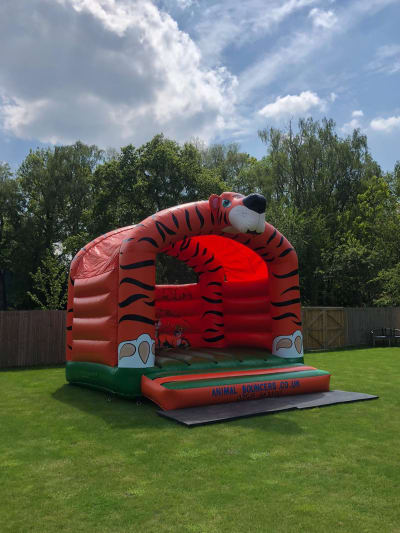 Tiger Adult Bouncy Castle, a adult bouncy castle for hire from Animal Bouncers