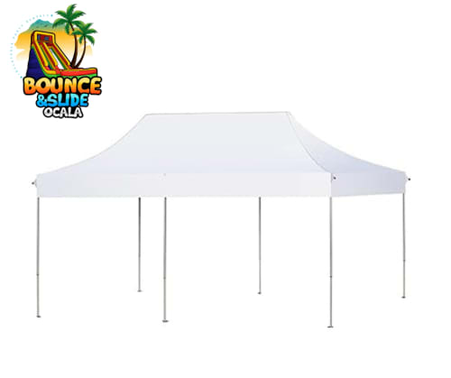 10x10 2024 white tent