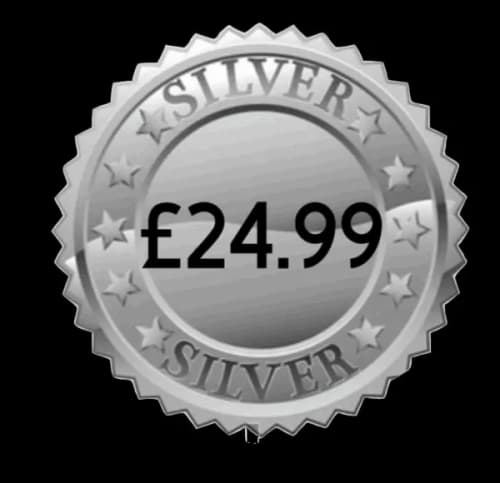 3. ~ Silver Package ~ Includes 300 Paintballs - Morning