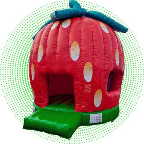 Berry Sweet Bouncer NEW