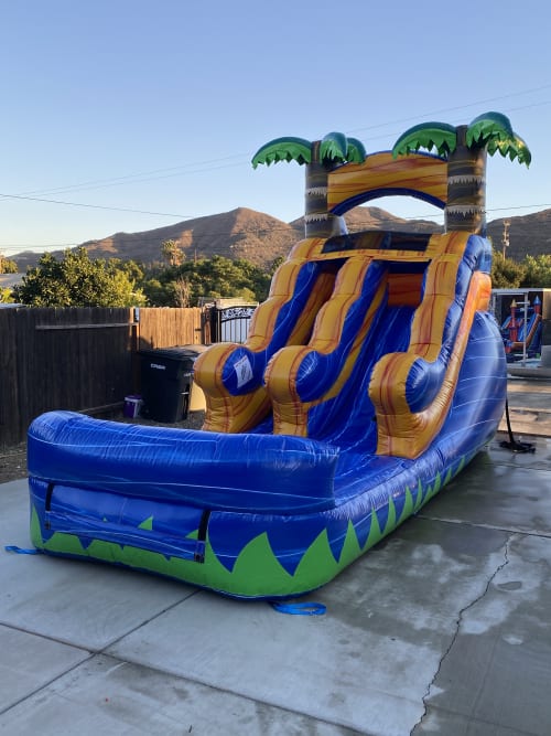 13' Dolphin Pool Slide - Bounce House Rental, Laser Tag, Water