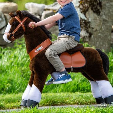 Pony cycle shop hire