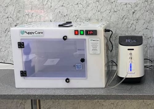 Puppy Intensive Care Unit Hire