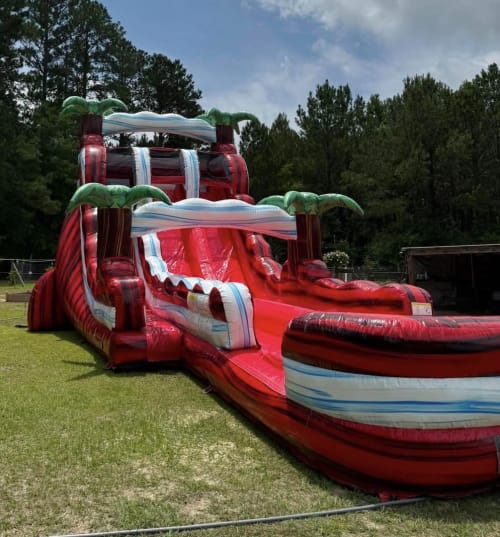Slides (Wet or Dry)