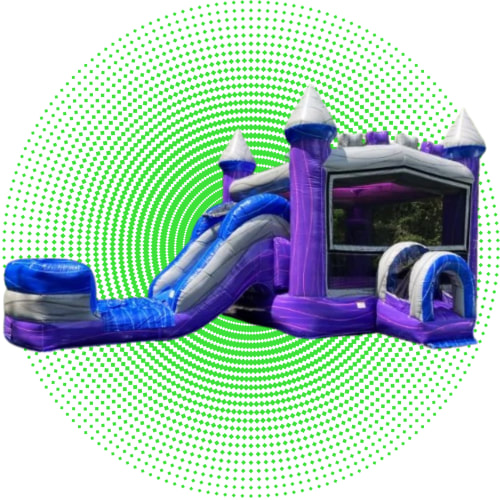 Purple Reign Bounce& Slide