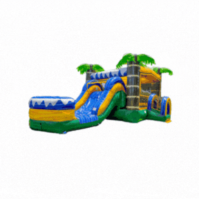 Bounce House and Slide Combos