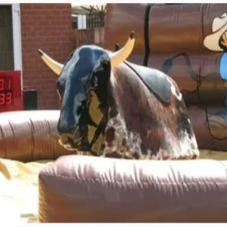 Rodeo Bull