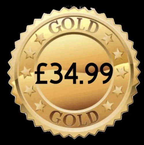 4. ~ Gold Package ~ Includes 500 Paintballs - Morning