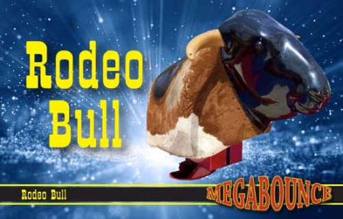 Rodeo Bull