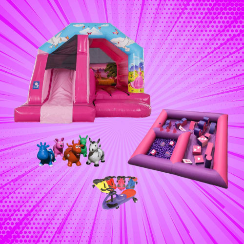 Princess Bounce N Slide Combi Bouncy Castle West Midlands