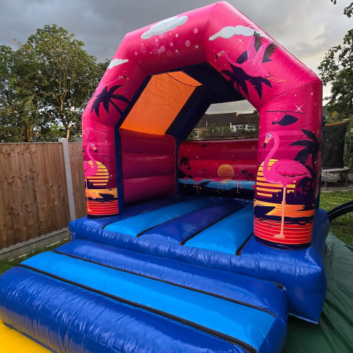 Funny Miami Bouncy Castle Hire Barking