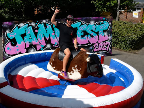 Rodeo Bulls