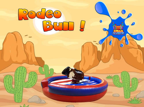 Rodeo Bull Hire