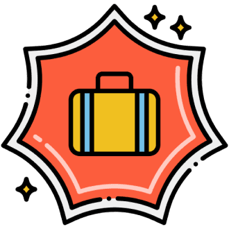 professional services