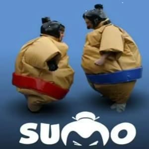 Sumo Suits