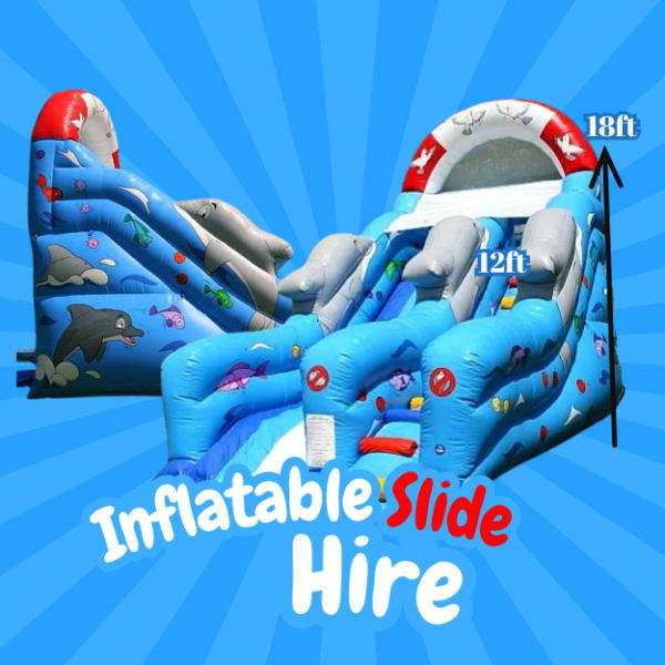 Large Inflatable Dolphin Slide hire