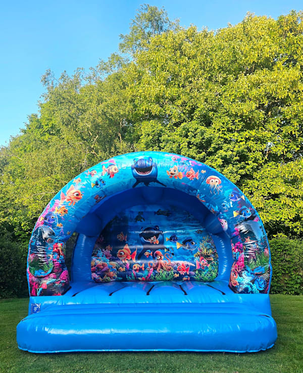 Under The Sea Bouncy Castle hire in Lingfield