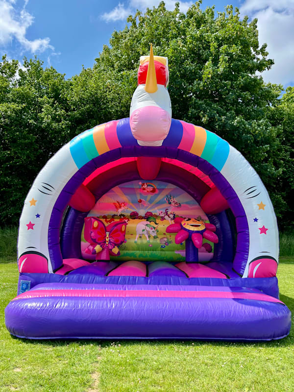 3D Unicorn Bouncy Castle hire Haywards Heath