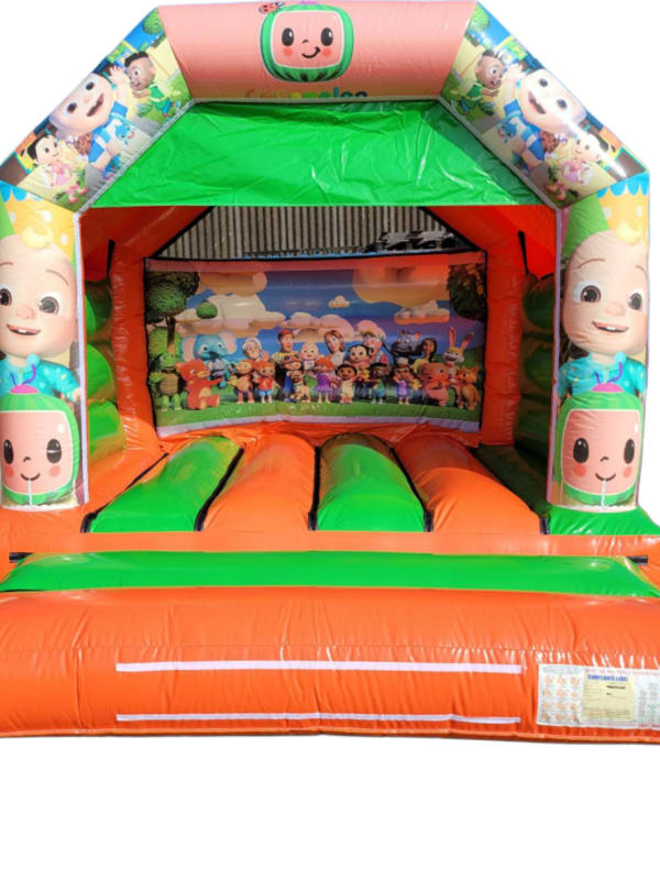 Themed Bouncy Castle
