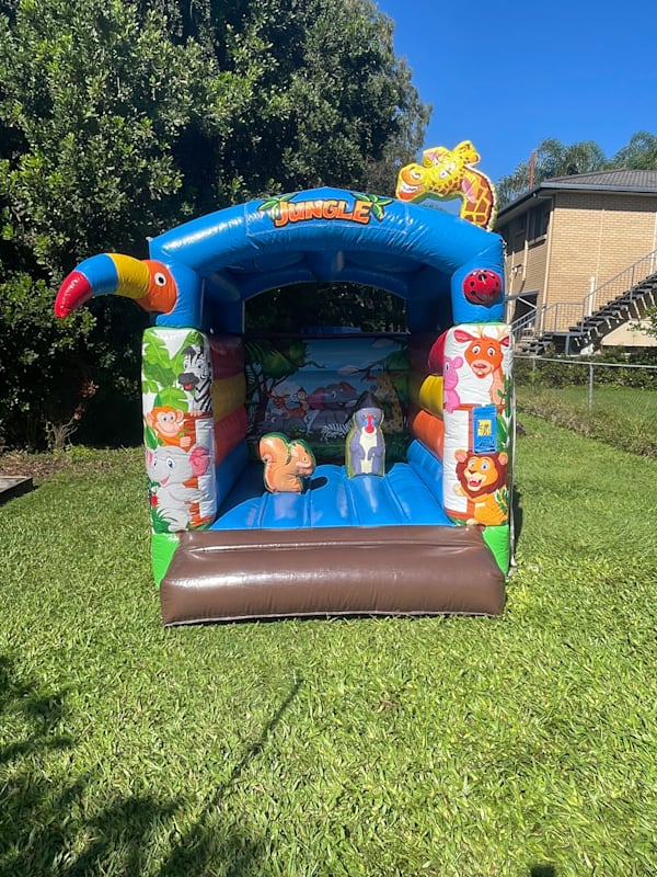 Baby Jungle Bouncer