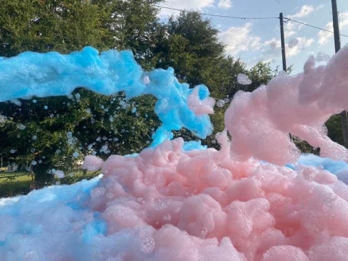 Gender Reveal