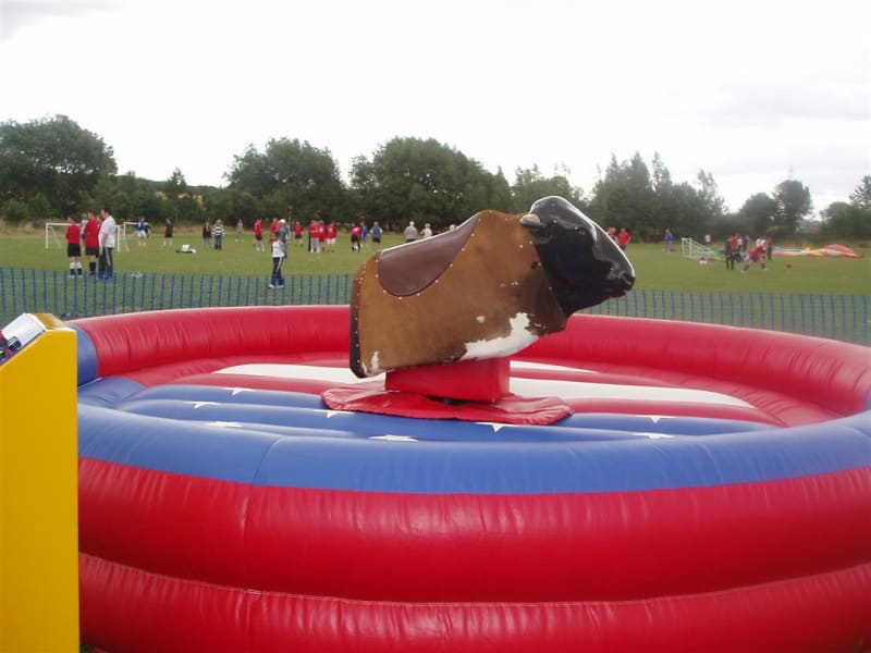 Rodeo bull hire in Manchester