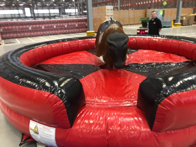 Rodeo bull hire in Rotherham