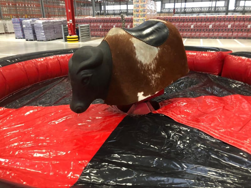 Rodeo bull hire in Barnsley