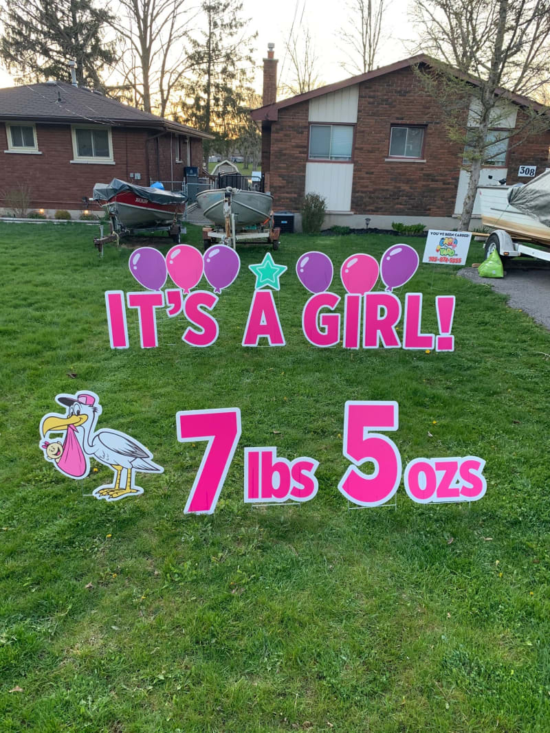 New Born Announcement Lawn Sign Rental in Belleville