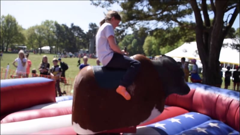Rodeo bull hire in Hull
