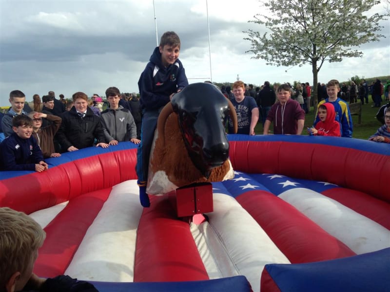 Rodeo bull hire in London