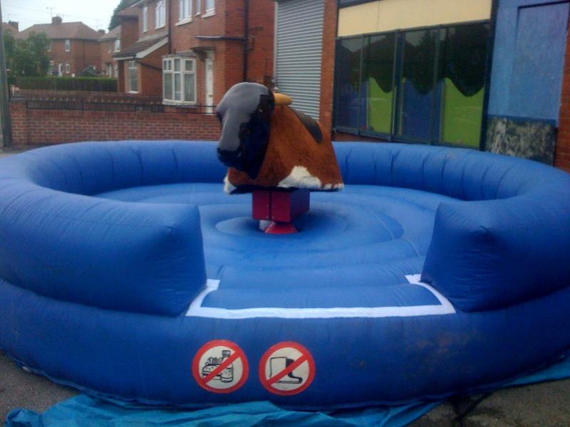 Rodeo bull hire in Glasgow