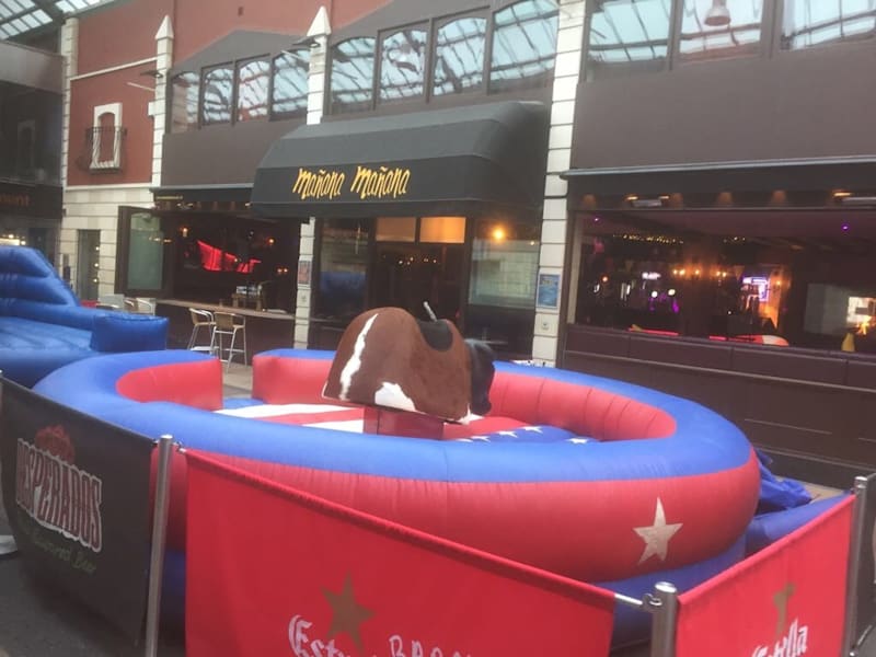 Rodeo bull set up for a bar event