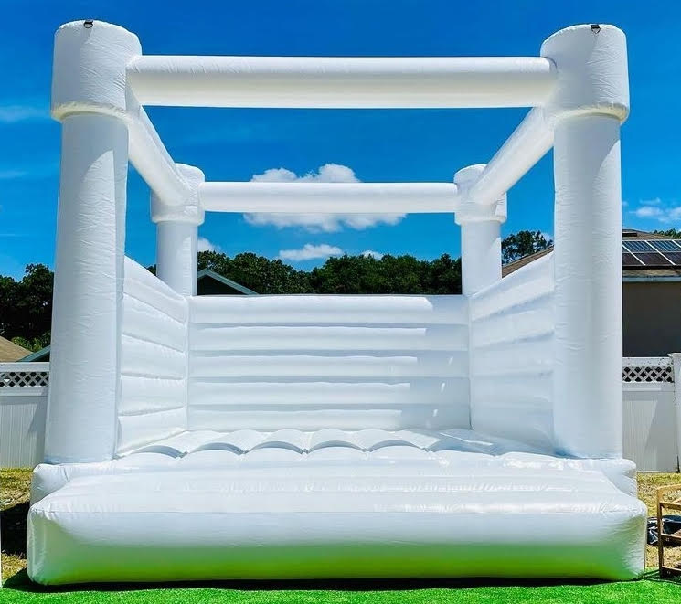What Is The Best Inflatable Bounce House Slide Software? thumbnail