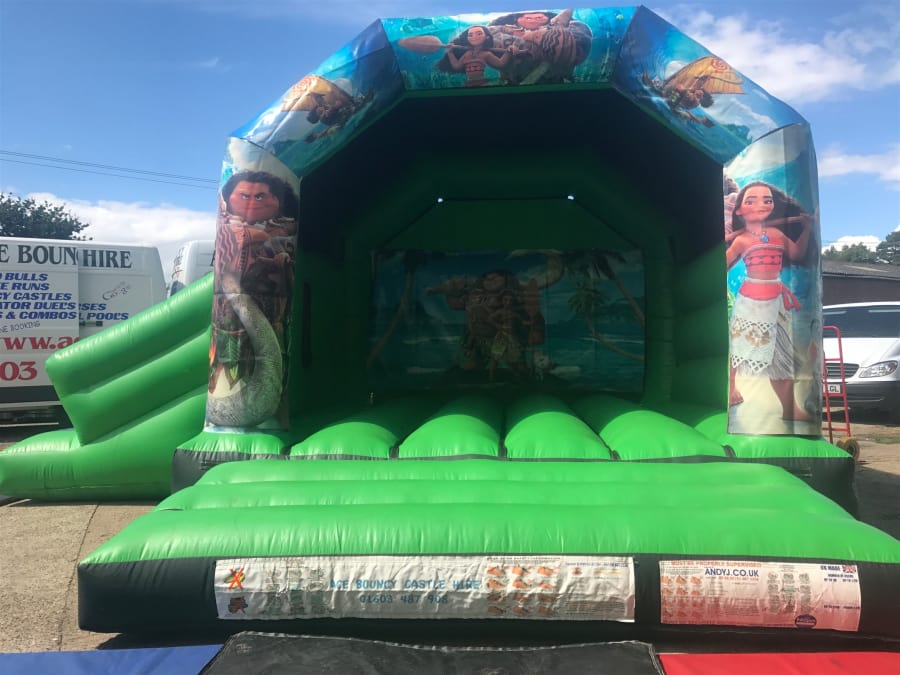 Children S New Moana Castle Slide Combo Hire Bouncy Castle