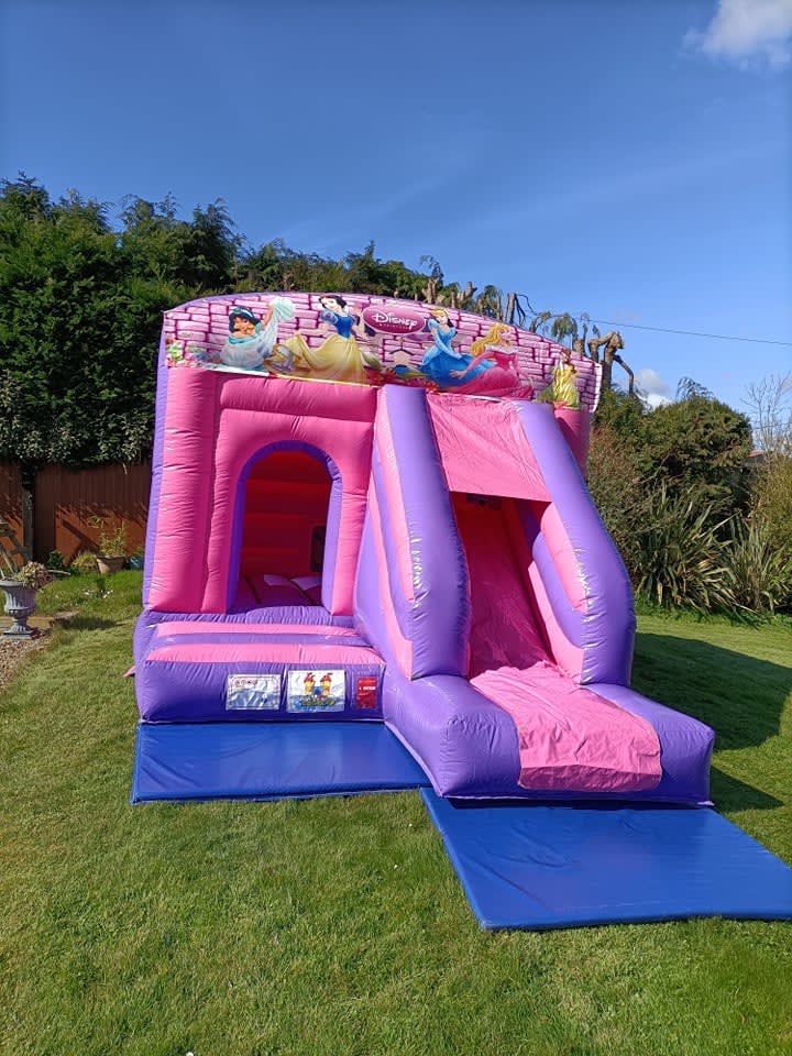 Pink princess bouncy store castle