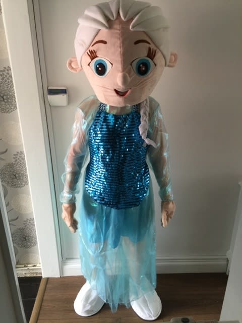 High quality 2024 elsa costume