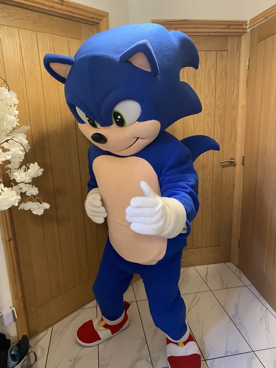 Childrens Sonic the Hedgehog Mascot Costume  Sonic the hedgehog costume,  Sonic the hedgehog, Mascot costumes