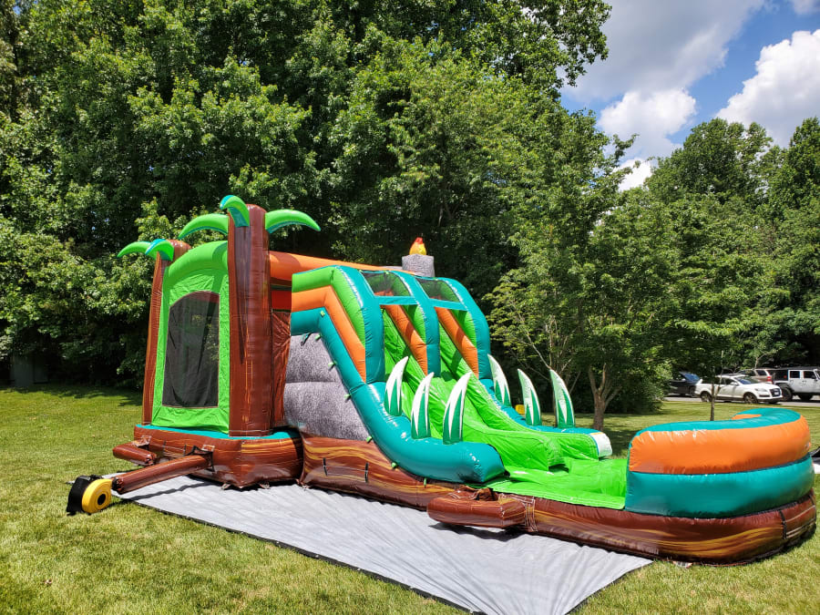 DINO 7-IN-1 DUAL LANE SLIDE - Birthday Party Rental Service in