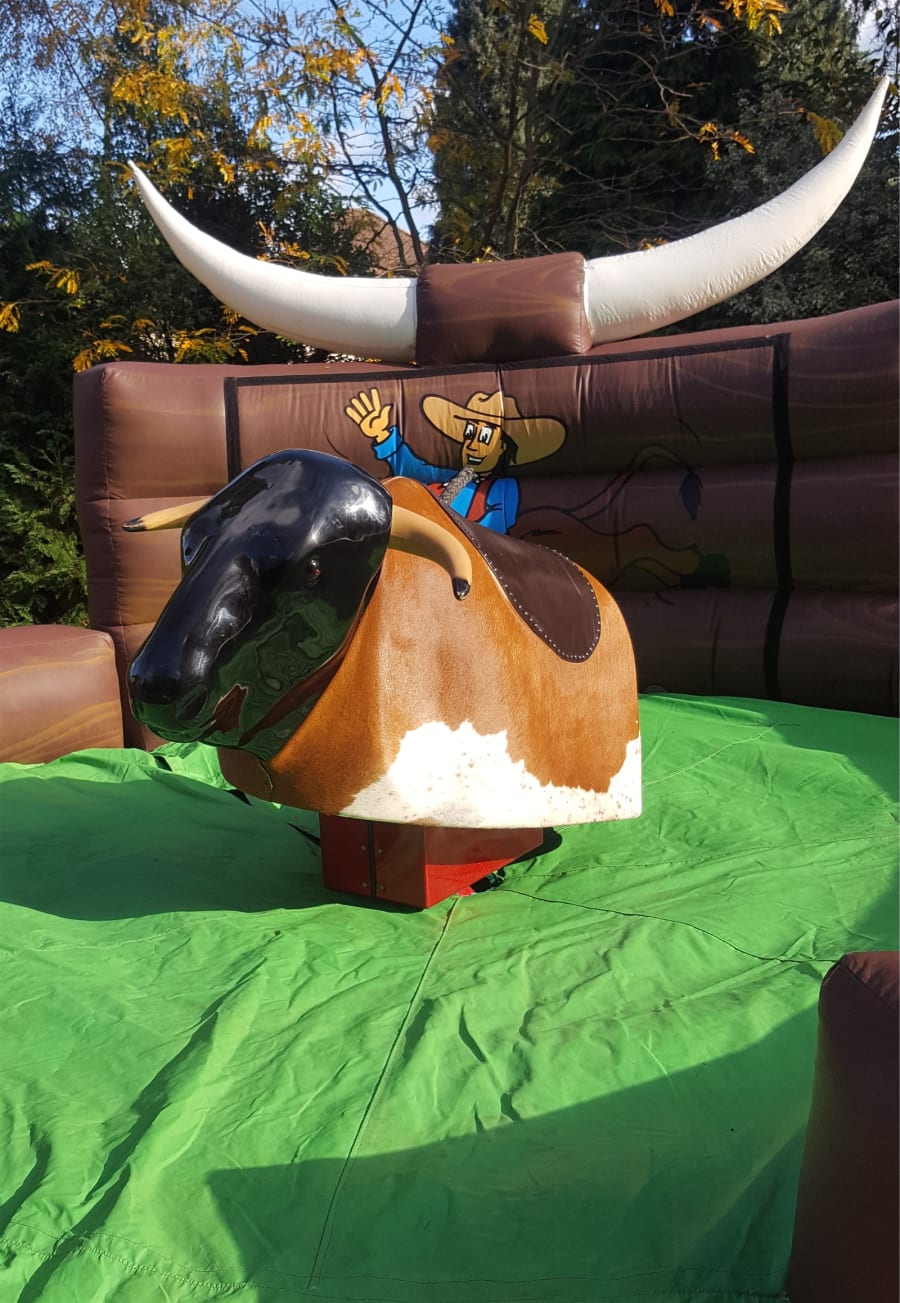 Hire mechanical clearance bull