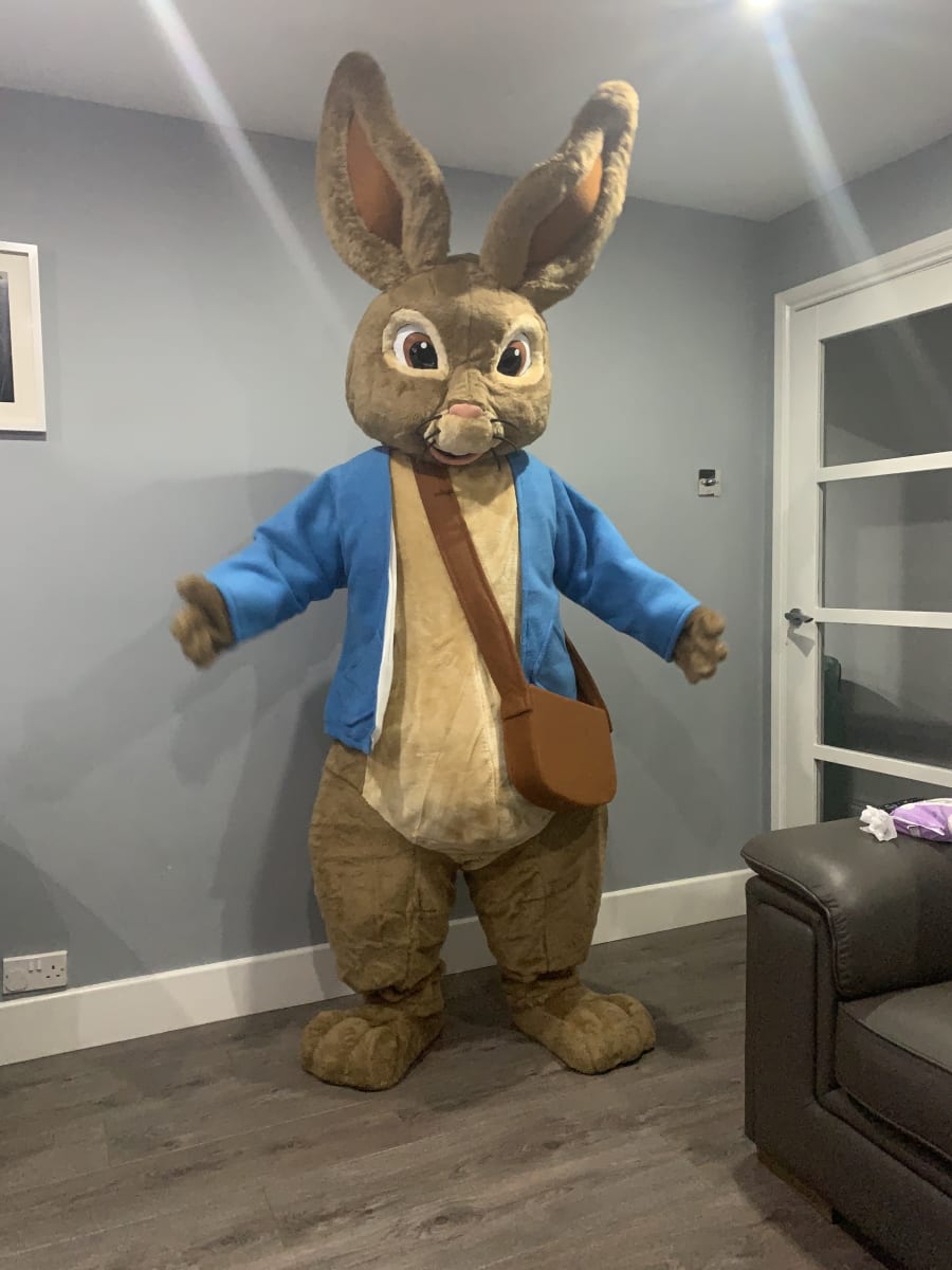 Peter rabbit deals costume adults