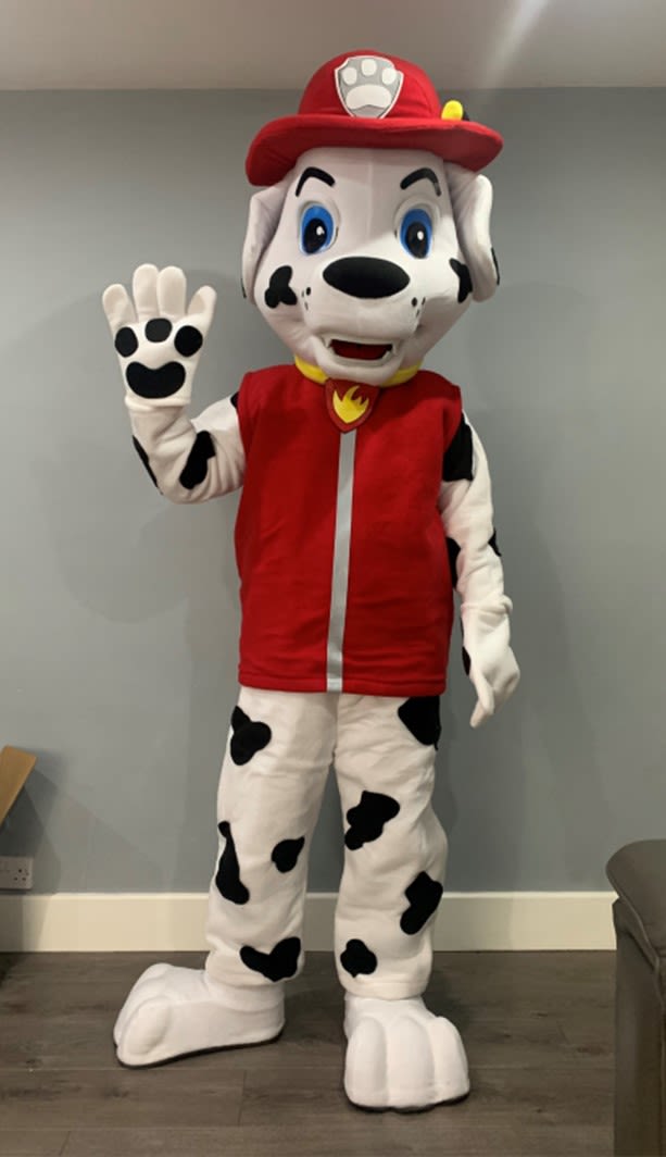 Marshall Paw Patrol costume mascot hire £35 UK post 2 for £60  Mascots  Costumes For Hire Children's Cartoon Characters Animals