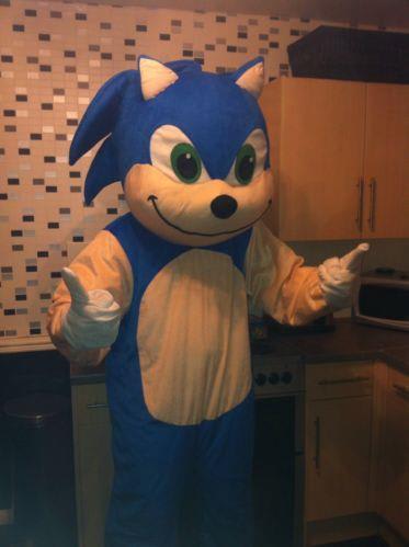 Childrens Sonic the Hedgehog Mascot Costume  Sonic the hedgehog costume,  Sonic the hedgehog, Mascot costumes