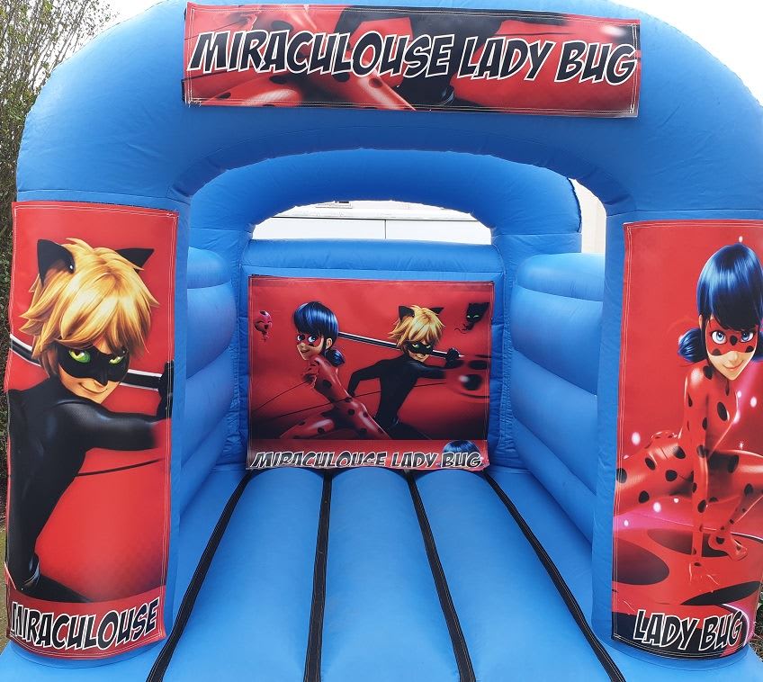 Hire Miraculous Ladybug Party Character